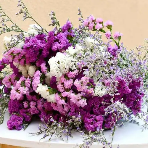 云南鲜花干花勿忘我情人草组合花束客厅卧室装饰插花家居摆设毕业