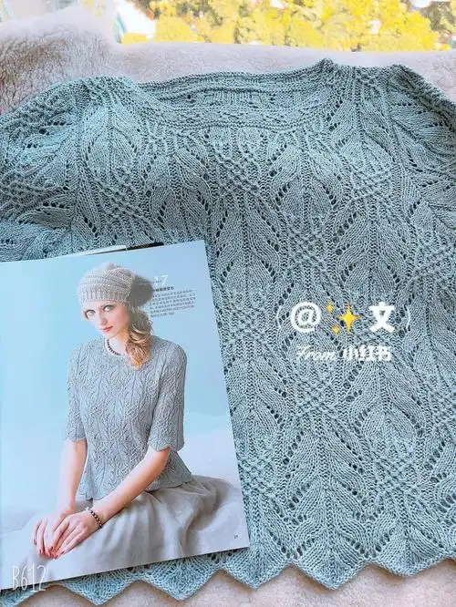 6图解微小改动#棒针编织  #志田瞳花样  #手工编织