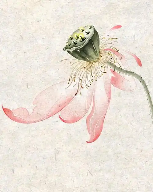 郑州纹身  #问墨刺青  #水墨纹身  #水墨莲花纹身  ##郑州水墨纹身