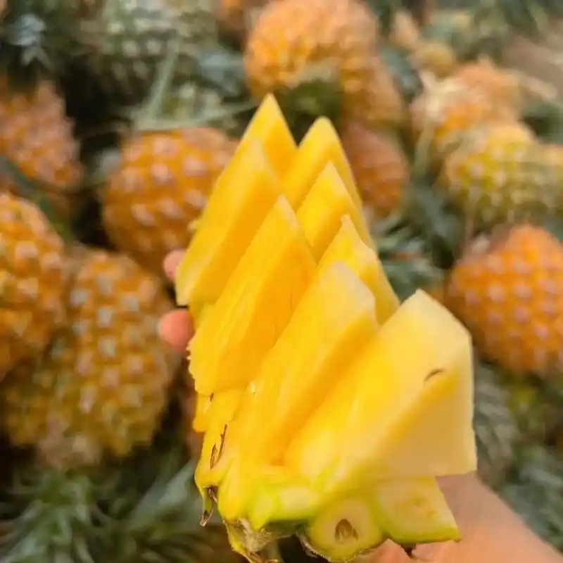 比菠萝还美味的凤梨,你一定要尝尝~浓郁清甜的凤梨香一切开就甜 - 抖