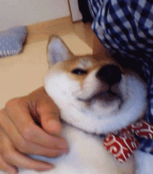 220_250gif 动态图 动图