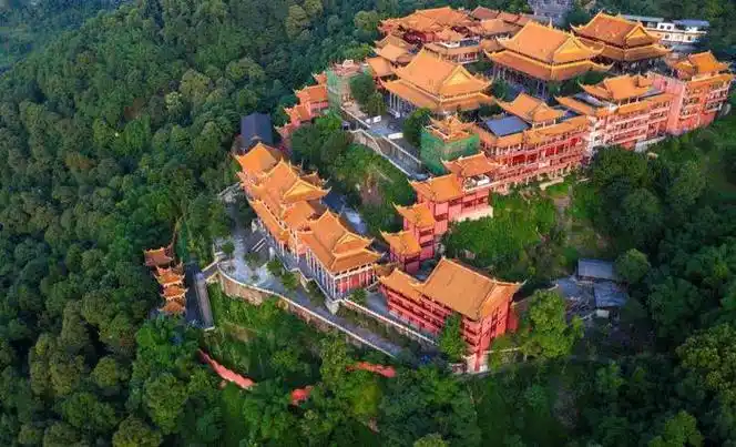 泸州张坝桂圆林景区是国家4a级旅游景区,集生态,运动,休闲,文化为一体