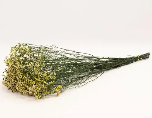 水晶草干花批发云南优质永生花保鲜花染色水晶草家居装饰花束批发