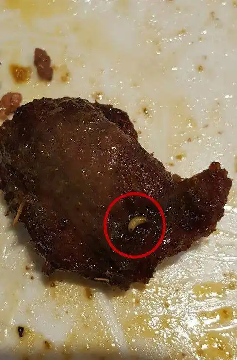 曝大连汉巴味德自助烤肉生蛆苍蝇 网友:令人作呕