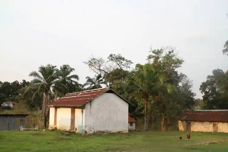 赴非洲刚果布的观感体验