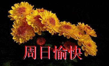 早上好,今天周六送给你的,快打开看看