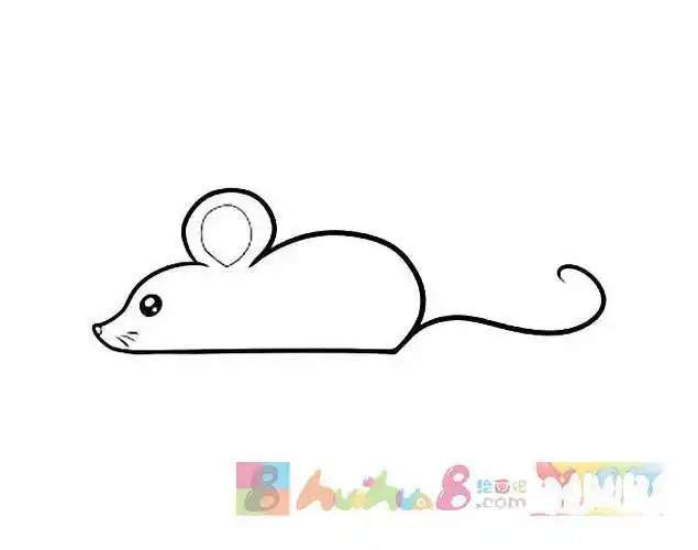 大鼠的简笔画