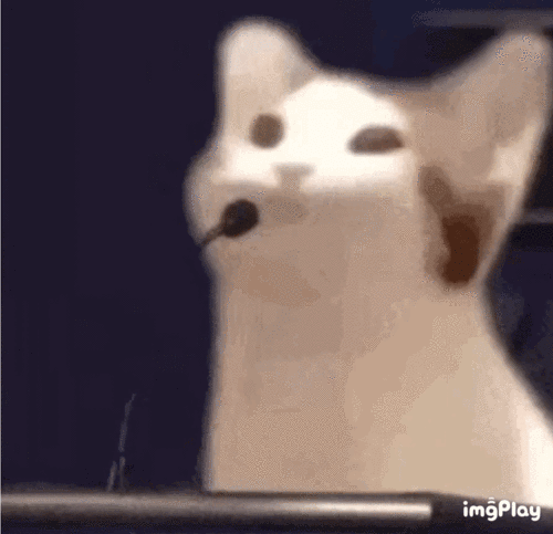 有没有女宠男,男忠犬/舔狗的文啊!