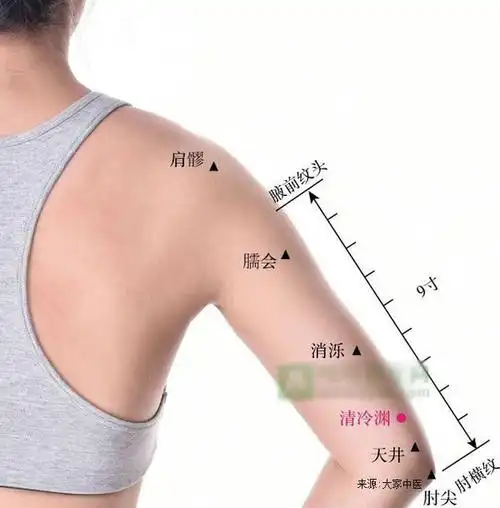 清冷渊穴位于臂后区,肘尖与肩峰角连线上,肘尖上2寸.屈肘取穴.