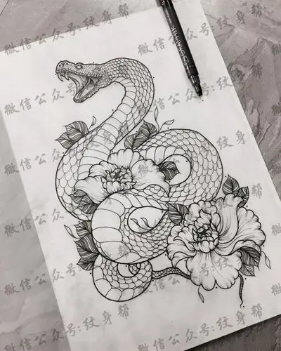 牡丹蛇纹身图案手稿