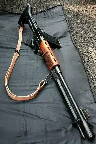 这个德国的什么枪