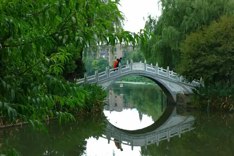 夏日的小南湖公园