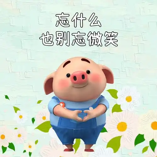 致自己##猪小屁五周年