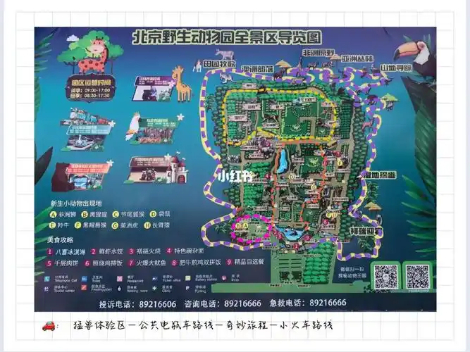 攻略plog北京大兴野生动物园