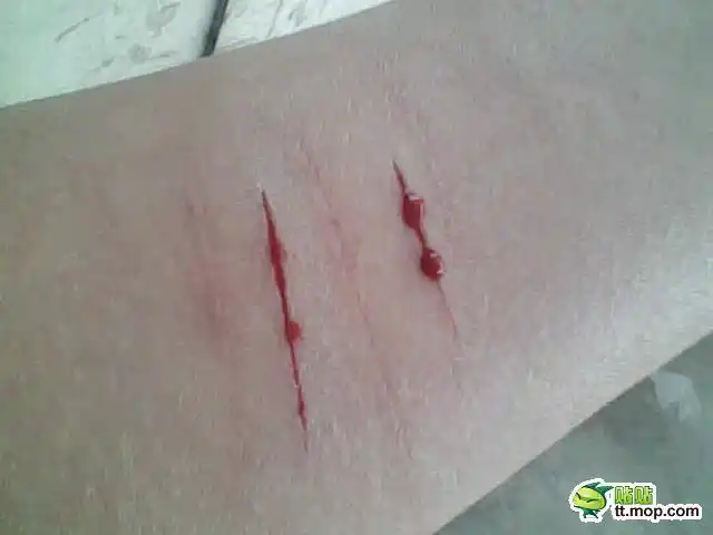 求ps大神p个图片,逼真点的,我自己p的颜色不对,还