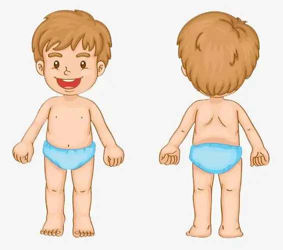关键词 : 卡通手绘,教育,男生,健康,手绘手脚,装饰,插图[声明] 觅元素