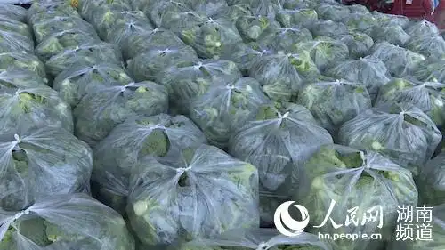 打包好的蔬菜.童忠平供图