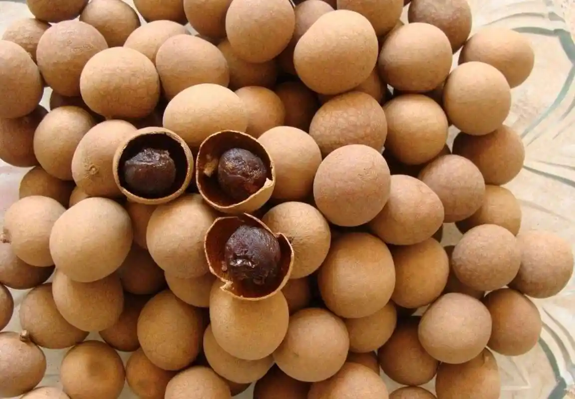 分不清龙眼和桂圆?大妈来教你"一招",以后千万别看错了
