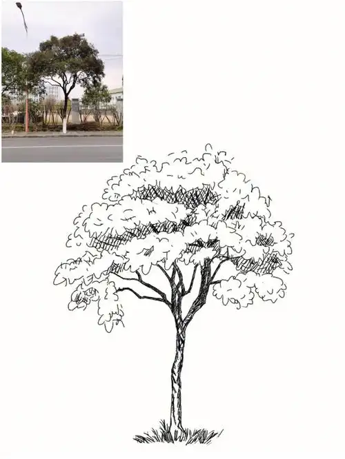 就行如果你也像我一样业余但有爱好,可以一起练习练习#画画  #铅笔画