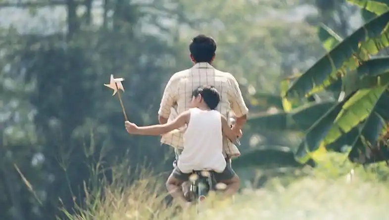 《父子》《了不起的狐狸爸爸》《东京物语》《当幸福来敲门》《岁月