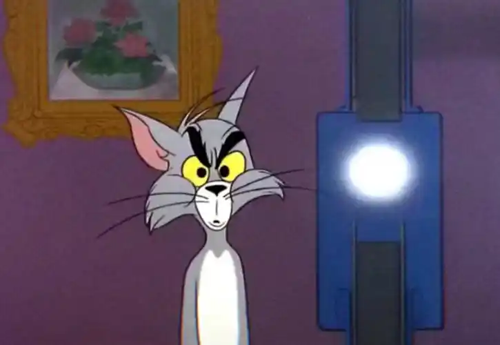 猫和老鼠 - 堆糖,美图壁纸兴趣社区