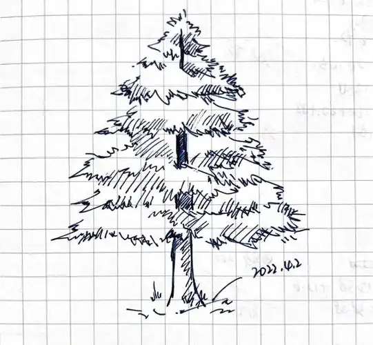 今天画棵松树