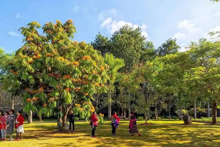 大美云南――第十二篇有着"世外桃源"之称的西双版纳热带植物园(副本)