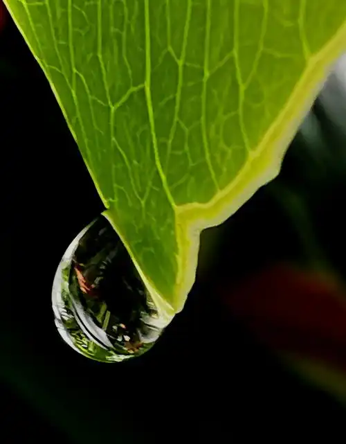 小水滴梦幻神韵