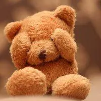 熊头像个性 网红熊头像图片_微信头像图片大全