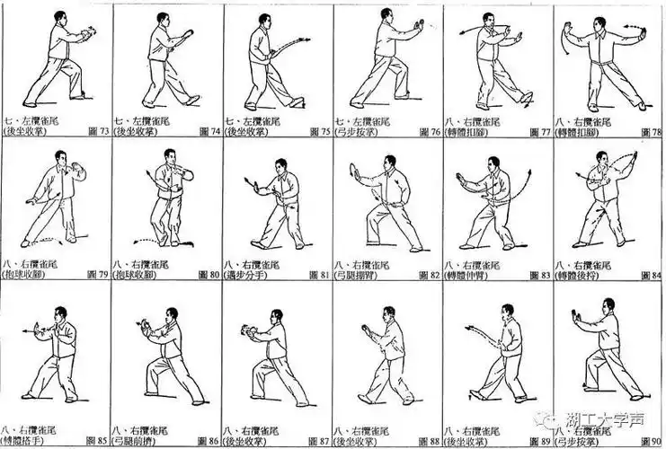 太极拳小声陪你打太极啦