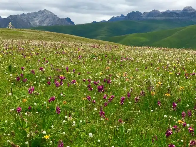 2018年穿越甘南-川北-青海三省藏区集锦