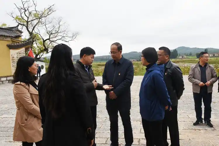 李朝文到师宗县彩云镇调研乡村振兴工作