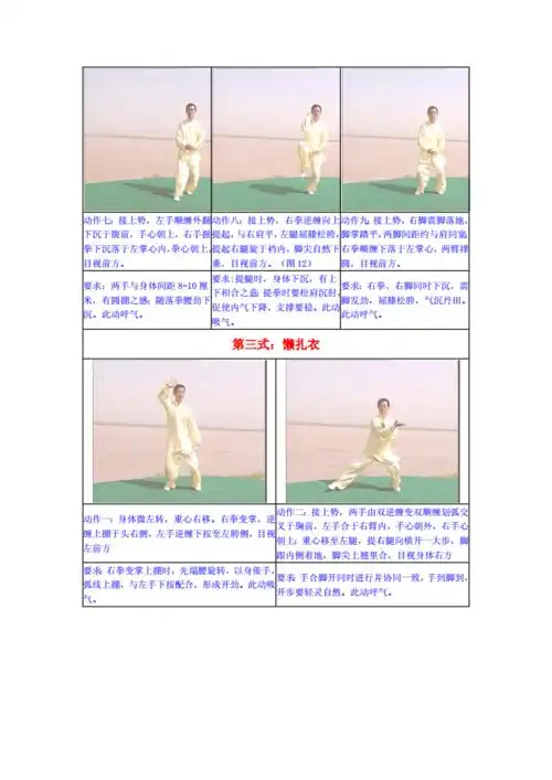 精品资料最新版陈式太极拳精要十八式图解doc17页