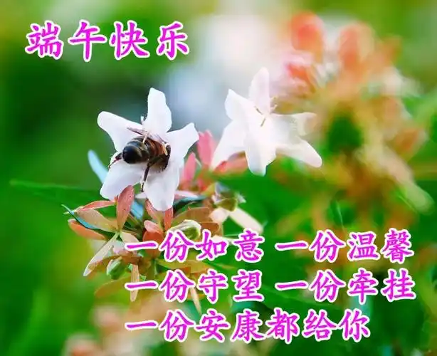 今天端午节我收集世上一切美好的东西为原料,用无忧为外衣,以我的真心