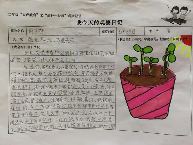 我仿佛在金色的秋天,看见向日葵亭亭玉立,迎着太阳轻轻摇摆