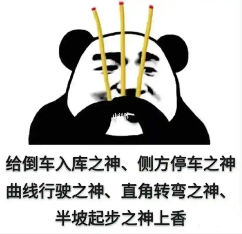 科目二一把过.#考驾照 #科二科三一把过 #科目二 - 抖音