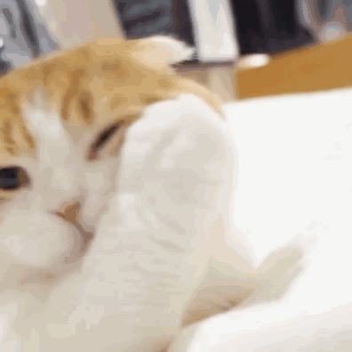 换房还有这些风险 手把手教你如何规避