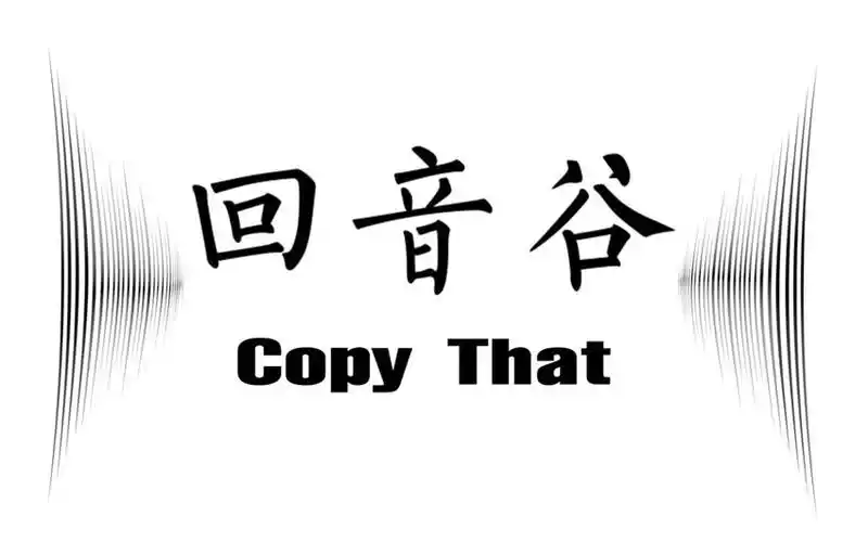 回音谷  em>copy /em> that