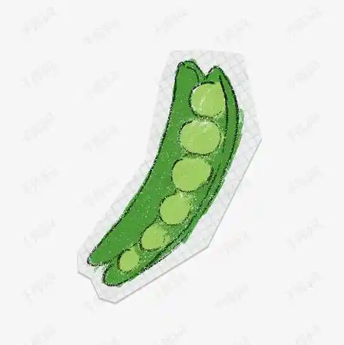 绿豆简笔画 绿豆简笔画生长过程