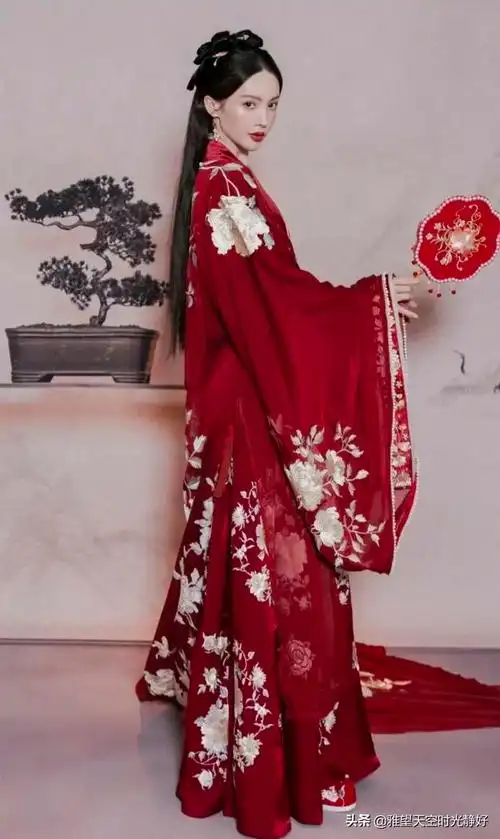 国风古装汉服秀(女明星汉服造型大赏)(51)