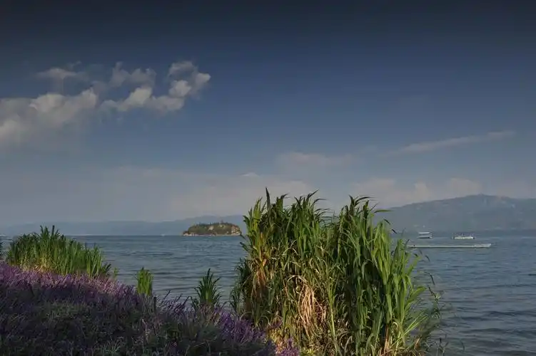 澄江阳光海岸一日游