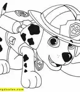 汪汪队立大功 | 红豆饭小学生简笔画大全