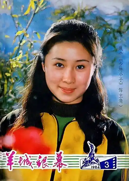 丁岚:李连杰的绯闻女友,国内最早的功夫女神_少林寺_武侠片_生活