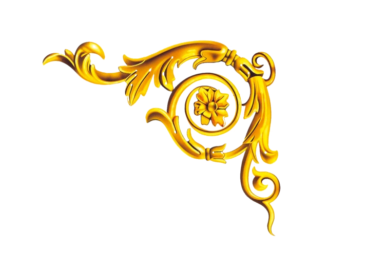 金色边框圆框花边