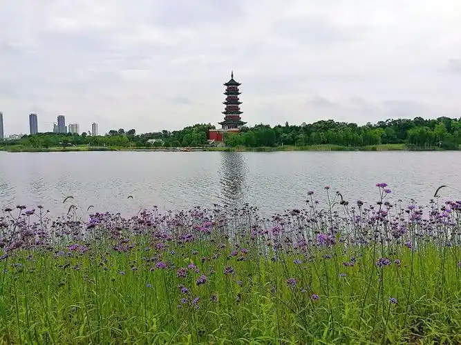 南昌市象湖湿地公园游