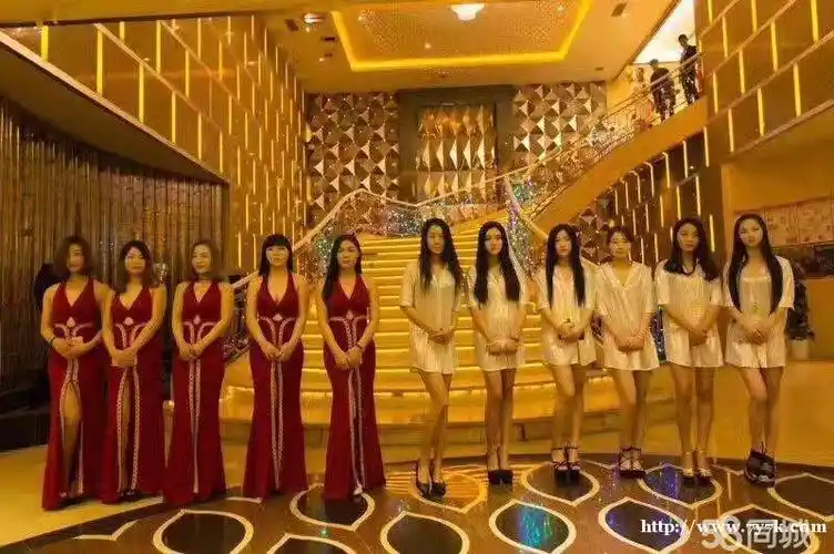 招聘 商务佳丽 酒水促销 生意火爆 工资日结