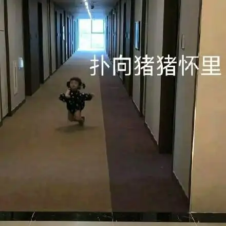 接到爱心放怀里表情包 - 接到爱心放怀里微信表情包 - 接到爱心放怀里