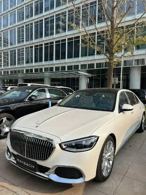 白色迈巴赫s580 这太顶了 选配漆面2.04万 温暖组件0.99万 冰箱1.