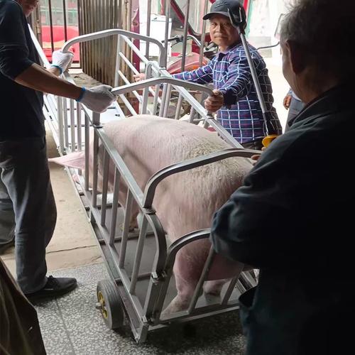 猪笼多功能养殖肥猪称重拉母猪称猪笼装猪车猪笼子猪场用运猪笼装