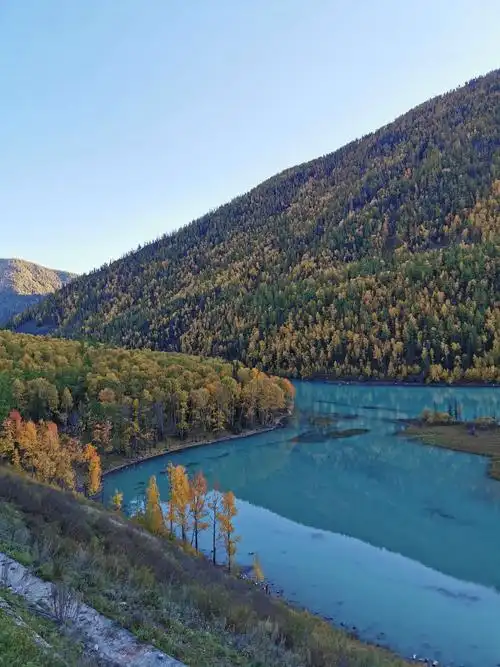 新疆之行一一美丽的喀纳斯